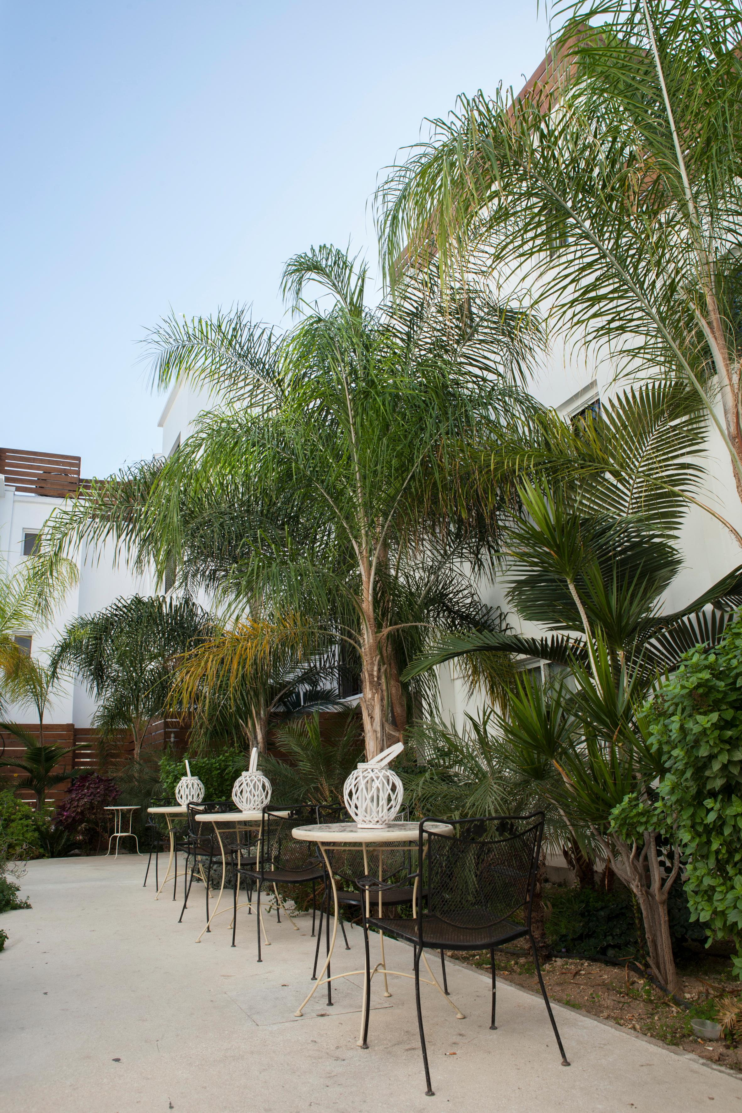Aparthotel Alecos Paphos