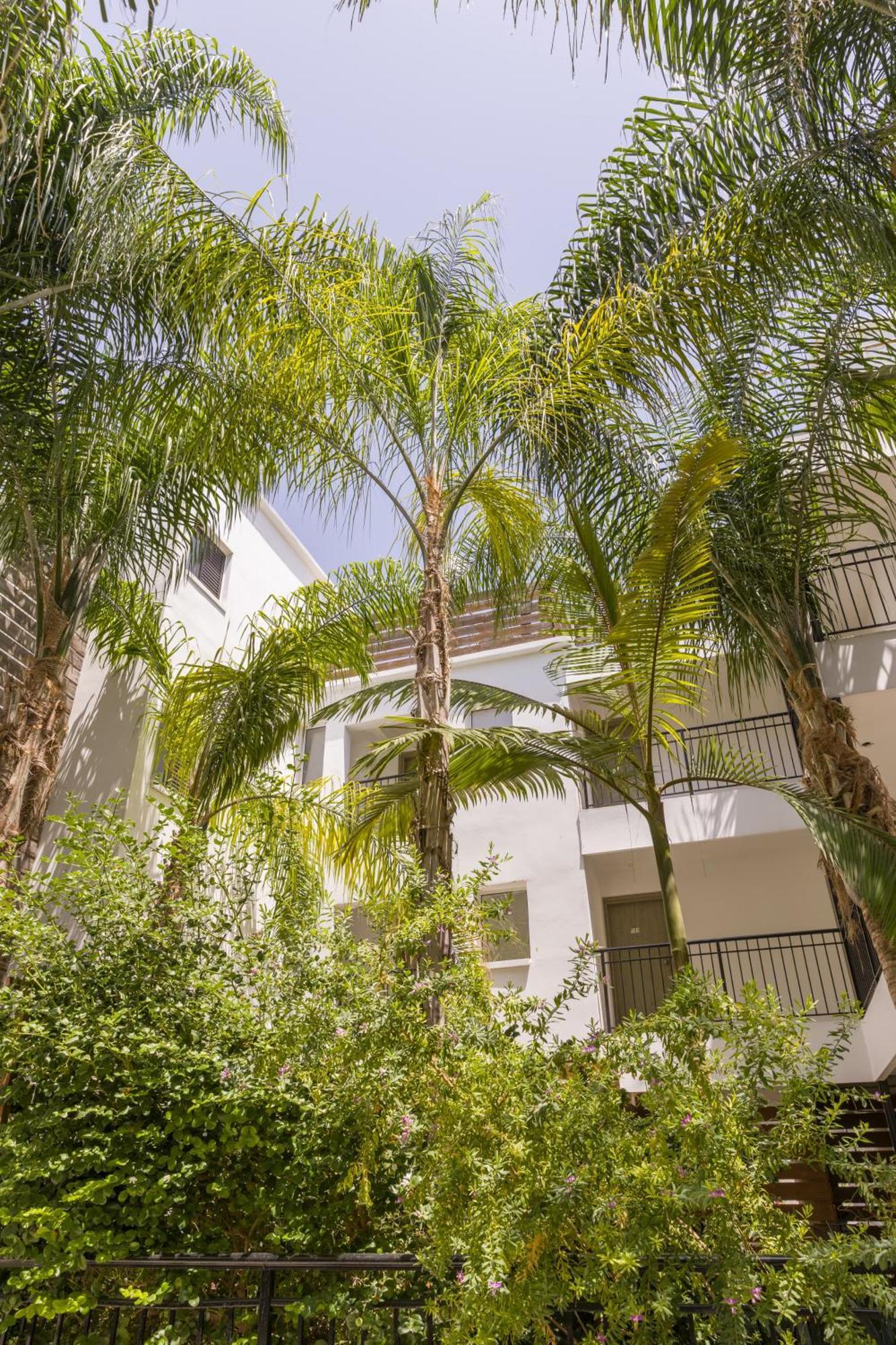 Appart hôtel Alecos 3*