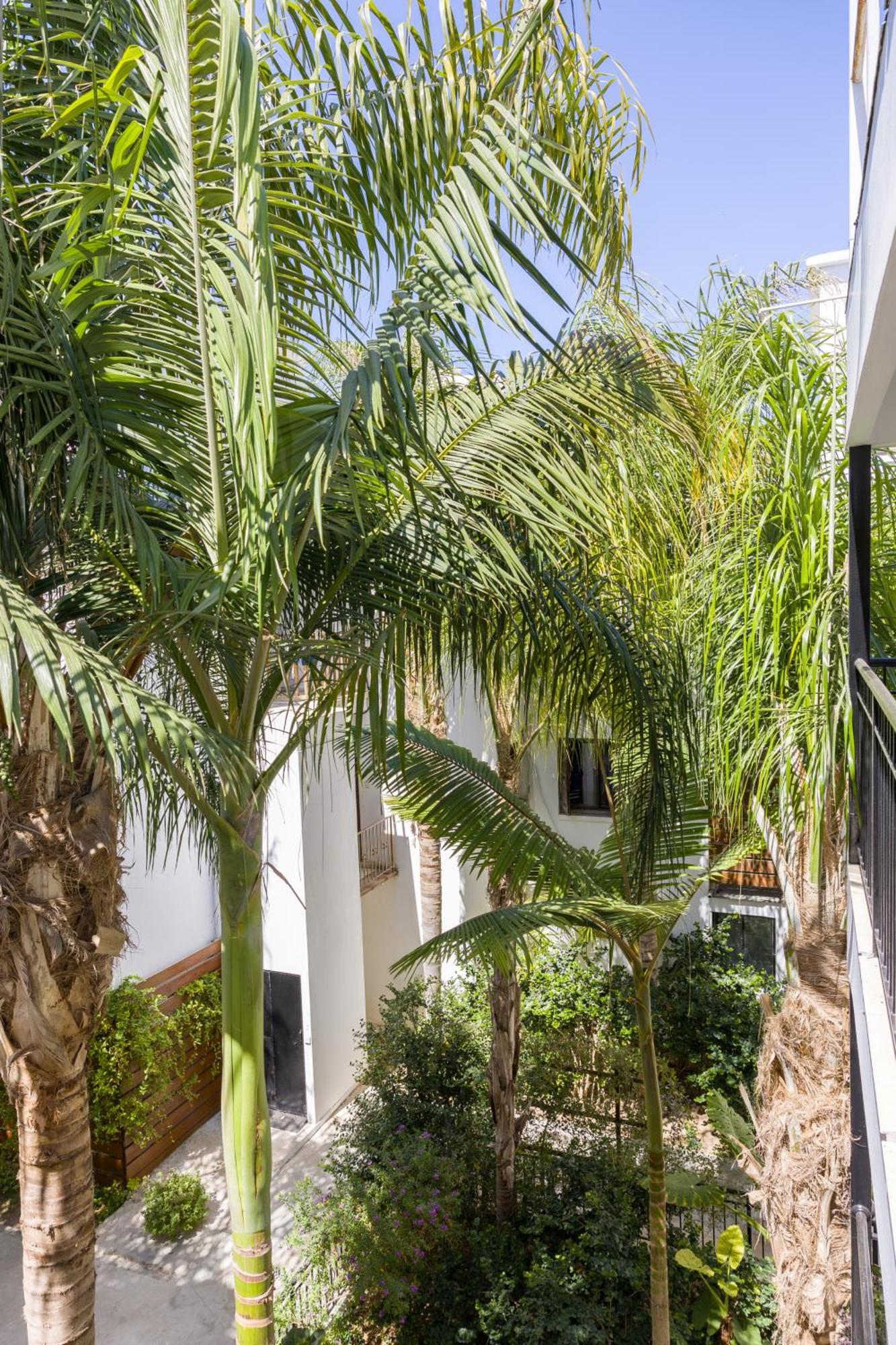 Alecos Aparthotel